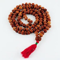 Rudraksh mala